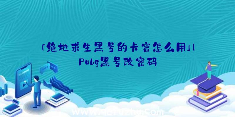 「绝地求生黑号的卡密怎么用」|Pubg黑号改密码